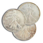 Silver American Eagle - Impaired