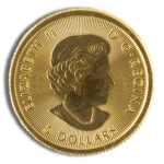 1/10 oz Canadian Polar Bear Gold Coin (Year Varies) - Image 2