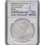 2007-W Burnished Silver Eagle NGC MS70 ER
