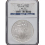 2008-W Burnished Silver Eagle NGC MS70 ER