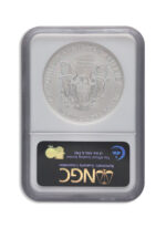 2008-W Burnished Silver Eagle NGC MS70 ER - Image 2