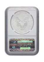 2013-W Burnished Silver Eagle NGC MS70 ER - Image 2