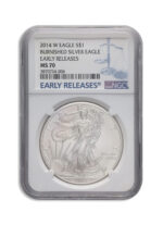 2014-W Burnished Silver Eagle NGC MS70 ER