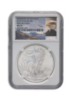 2015-W Burnished Silver Eagle NGC MS70 ER