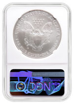 2007-W Burnished Silver Eagle NGC MS70 - Image 2