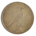 Peace Silver Dollar - F+ - Image 2