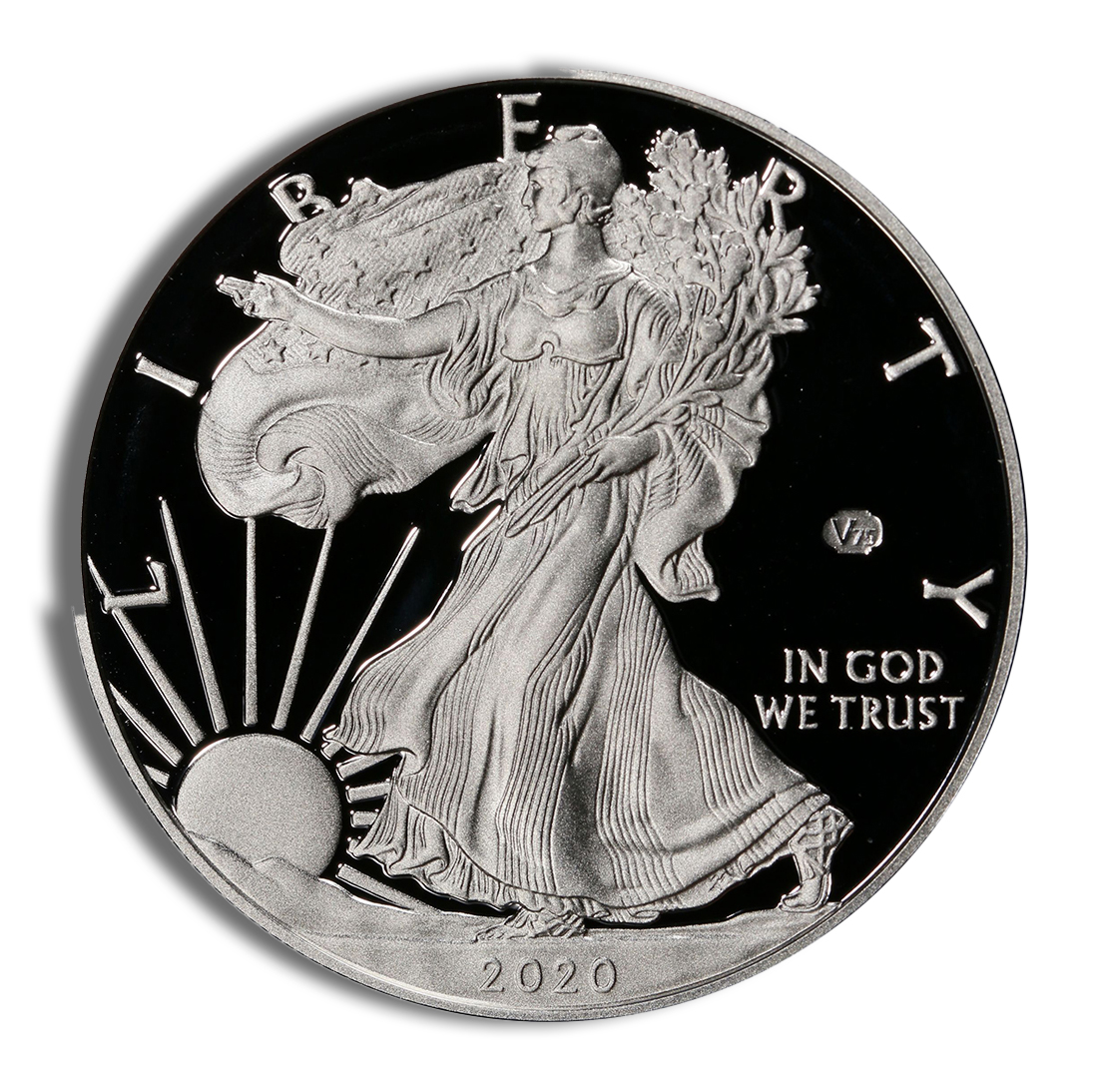 2020-W Proof Silver Eagle V75 Privy with Box & COA 2020-W Proof Silver Eagle V75 Privy with Box & COA - Image 1